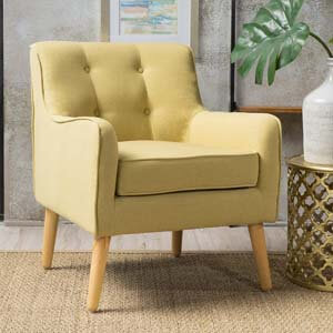 Christopher Knight Fabric Reading Arm Chair